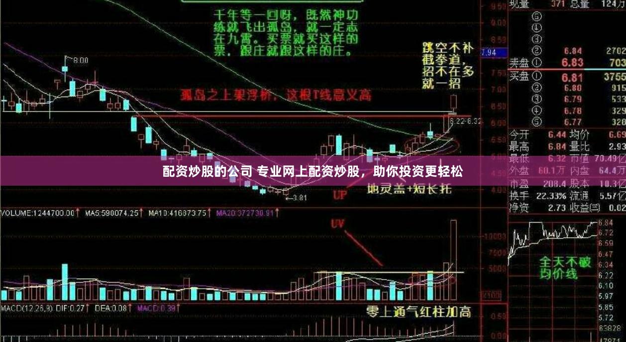 配资炒股的公司 专业网上配资炒股，助你投资更轻松