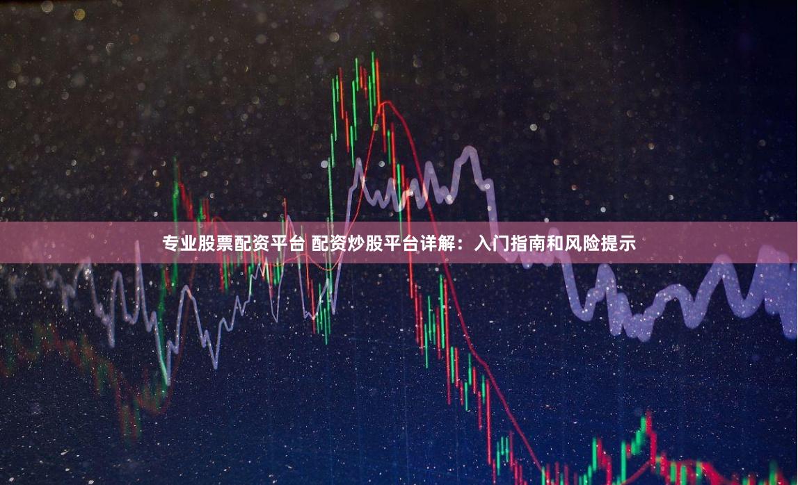 专业股票配资平台 配资炒股平台详解：入门指南和风险提示