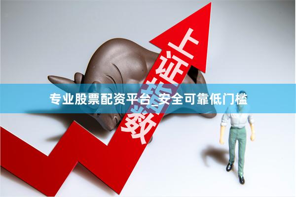 专业股票配资平台_安全可靠低门槛