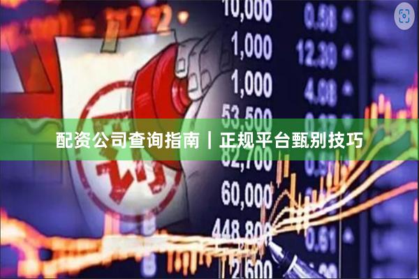 配资公司查询指南｜正规平台甄别技巧