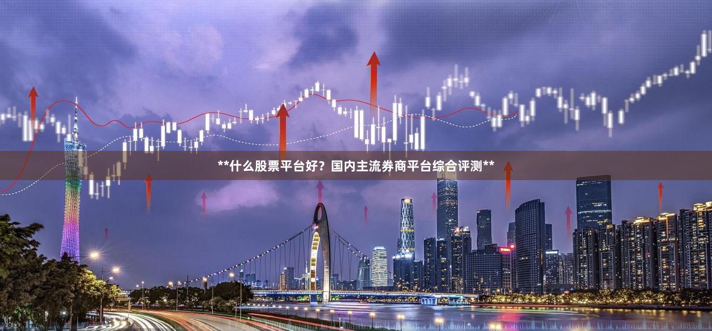 **什么股票平台好？国内主流券商平台综合评测**